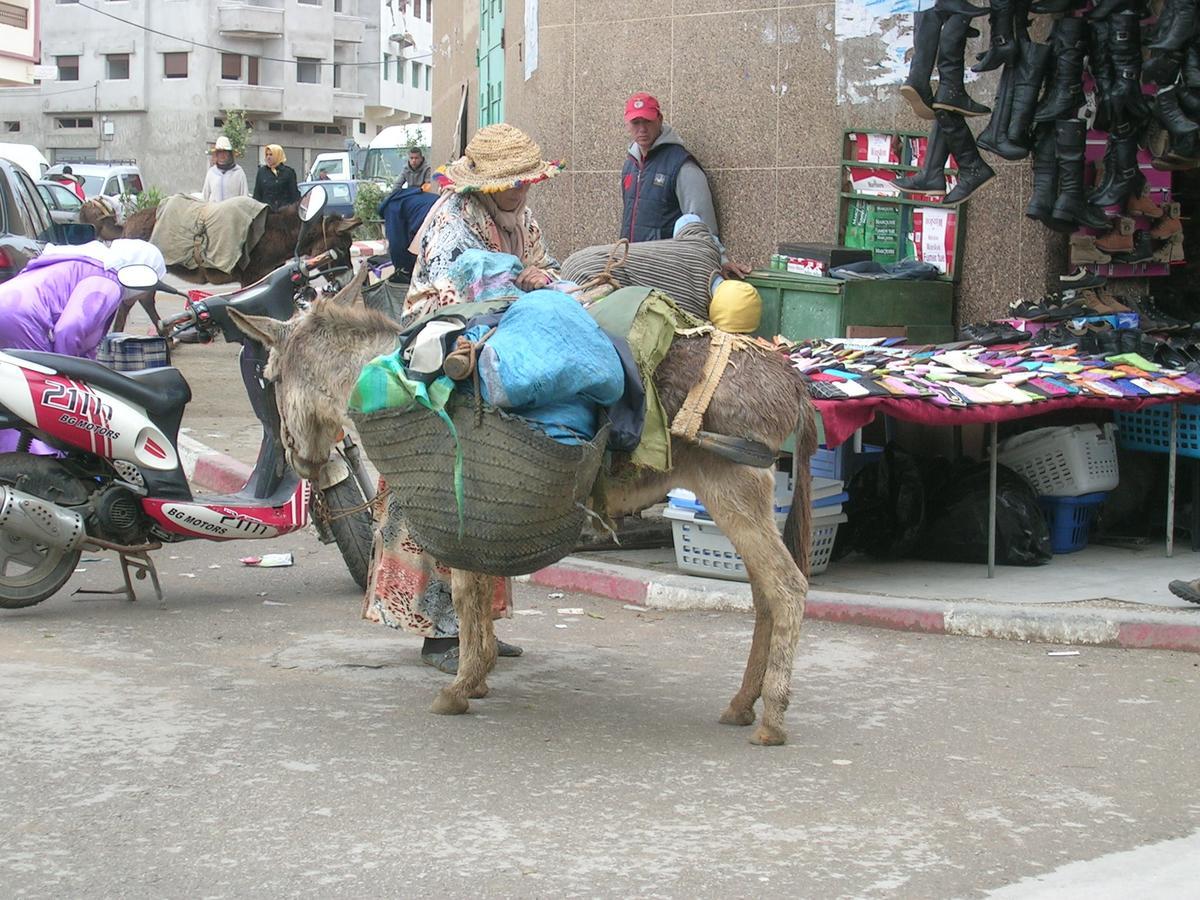 Vila Dar Es Salam-Alta Asilah Exteriér fotografie